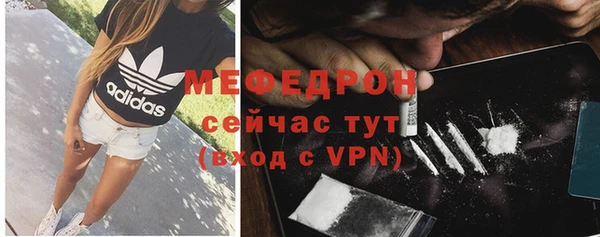 шишки Магас