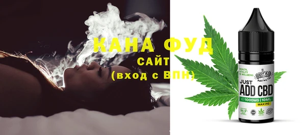 шишки Магас
