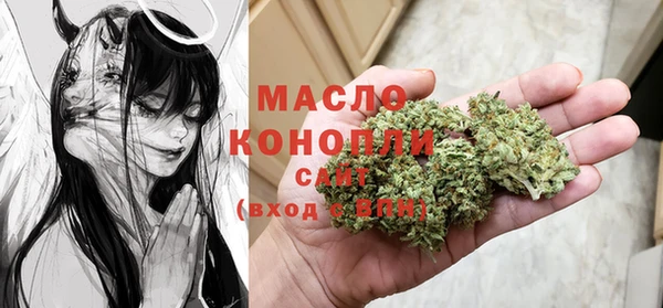 шишки Магас
