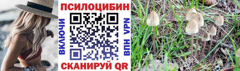 Псилоцибиновые грибы ЛСД  Шарья 